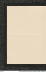 Nachlass Franz Steindachner, Brief von Alberto Perugia an Franz Steindachner (20.01.1881), Inv.Nr. 392.02, Seite 2
